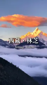 3月读懂林芝：7782米高峰 + 2930米峡谷 + 醉人的桃花