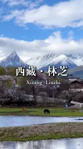 林芝：当雪山遇上桃花，西藏最浪漫的春日童话